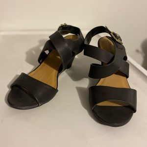 Black Wedges